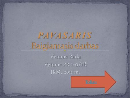 PAVASARIS Baigiamasis darbas