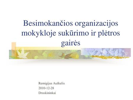 Besimokančios organizacijos mokykloje sukūrimo ir plėtros gairės
