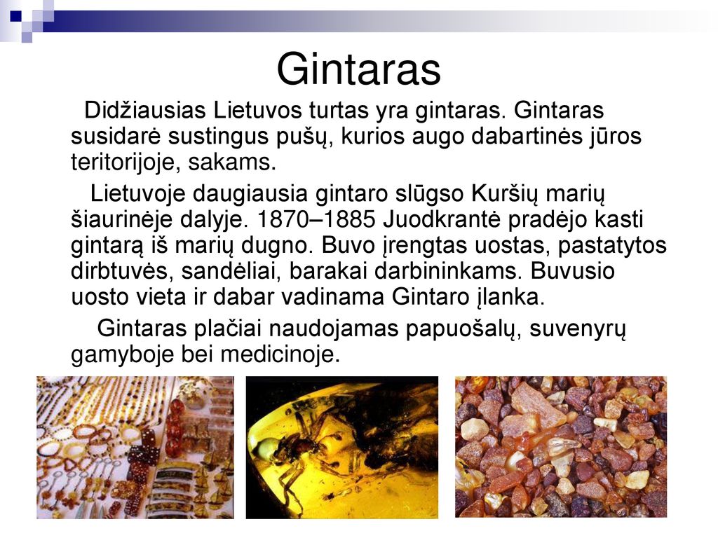 Gintaras Didžiausias Lietuvos turtas yra gintaras. Gintaras susidarė sustingus pušų, kurios augo dabartinės jūros teritorijoje, sakams.