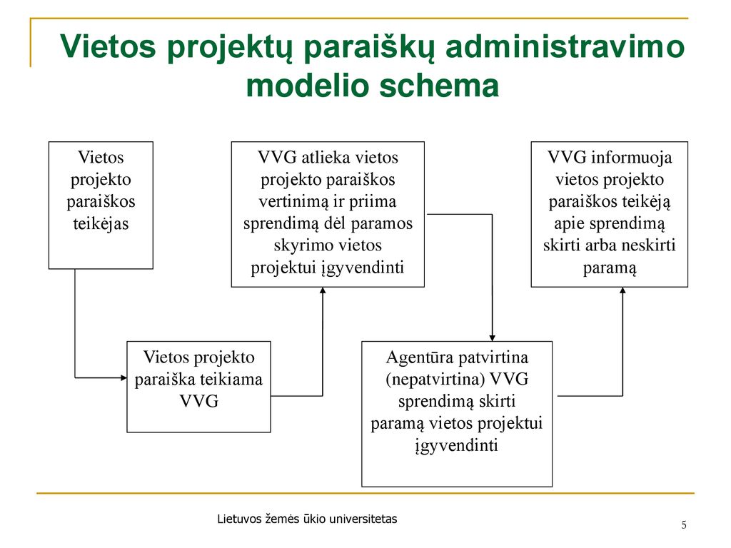 Vietos projektų paraiškų administravimo modelio schema