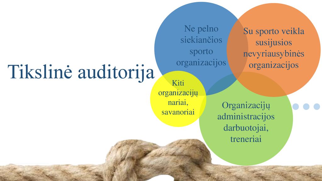 Tikslinė auditorija Ne pelno siekiančios sporto organizacijos