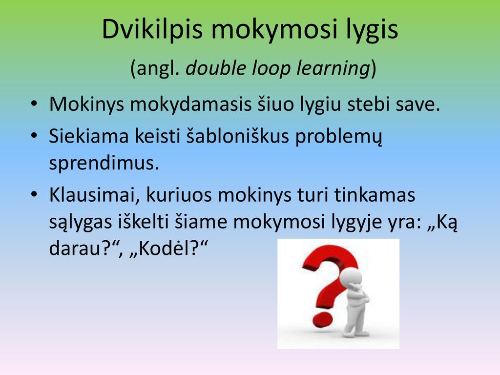Dvikilpis mokymosi lygis (angl. double loop learning)
