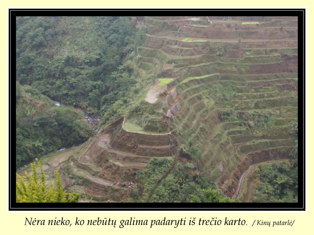 Nėra nieko, ko nebūtų galima padaryti iš trečio karto. / Kinų patarlė/