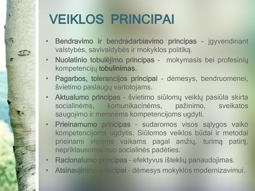 VEIKLOS PRINCIPAI Bendravimo ir bendradarbiavimo principas - įgyvendinant valstybės, savivaldybės ir mokyklos politiką.