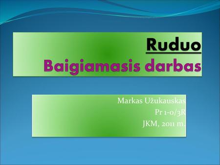 Ruduo Baigiamasis darbas