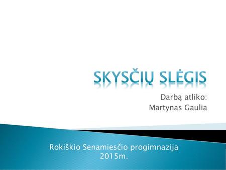 Darbą atliko: Martynas Gaulia
