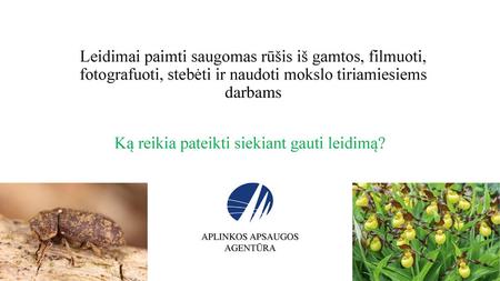 Ką reikia pateikti siekiant gauti leidimą?