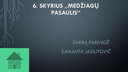 6. SKYRIUS,,MEDŽIAG Ų PASAULIS‘‘ DARBĄ PARENG Ė : SAMANTA JASIUTOVIČ.
