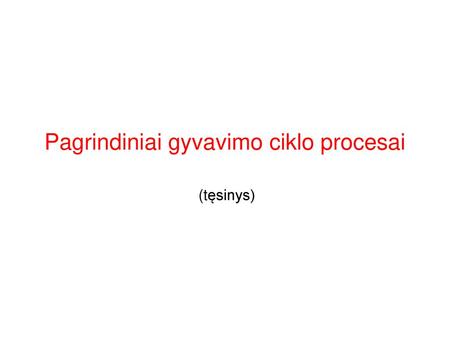 Pagrindiniai gyvavimo ciklo procesai