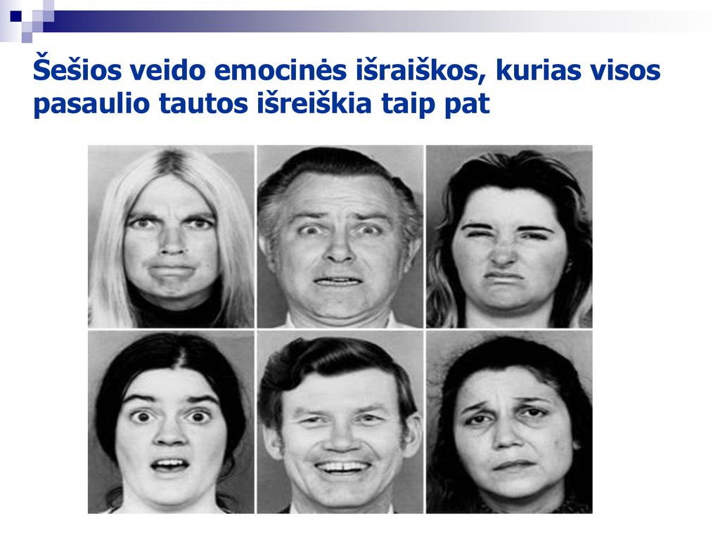Šešios veido emocinės išraiškos, kurias visos pasaulio tautos išreiškia taip pat