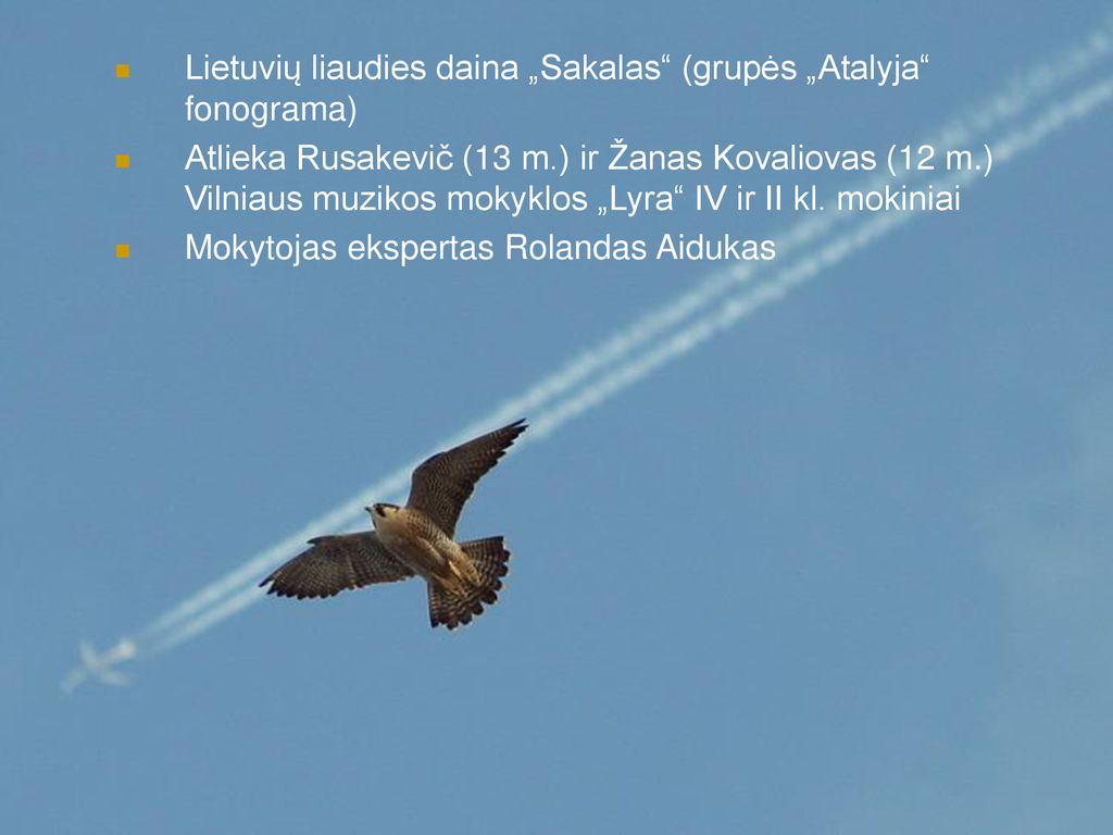 Lietuvių liaudies daina „Sakalas (grupės „Atalyja fonograma)