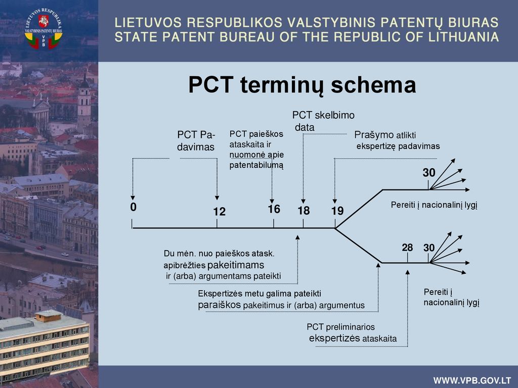 PCT terminų schema PCT Pa-davimas PCT skelbimo data
