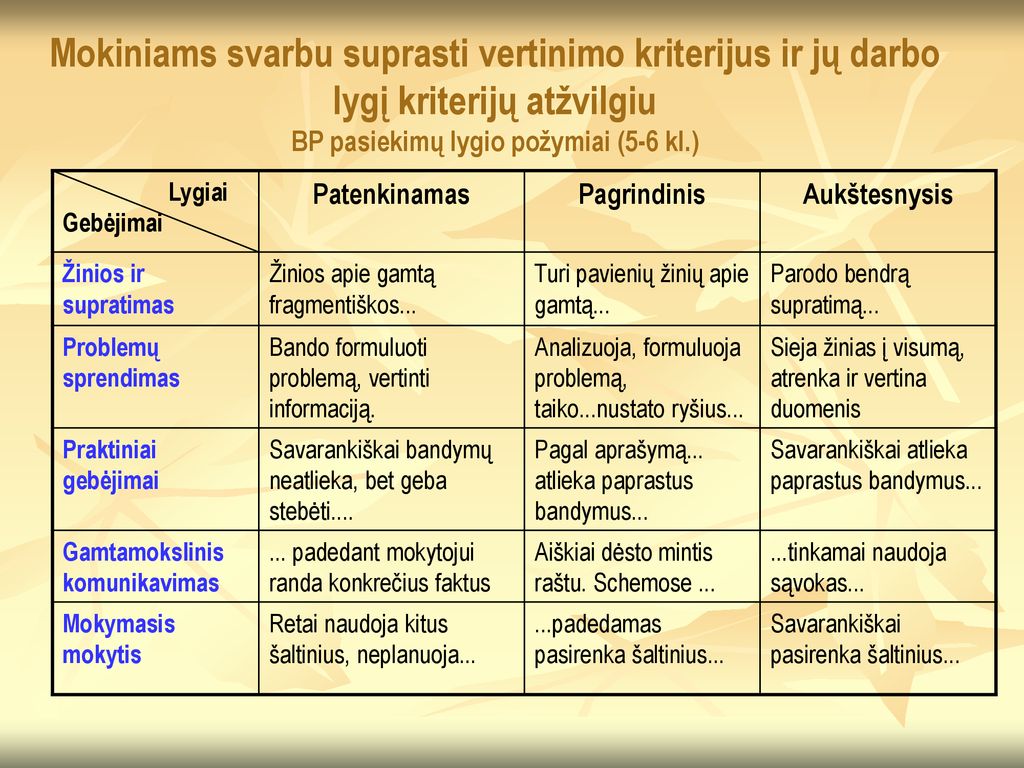 Mokiniams svarbu suprasti vertinimo kriterijus ir jų darbo lygį kriterijų atžvilgiu BP pasiekimų lygio požymiai (5-6 kl.)