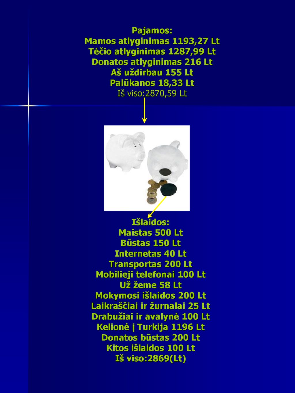 Mobilieji telefonai 100 Lt Už žeme 58 Lt Mokymosi išlaidos 200 Lt