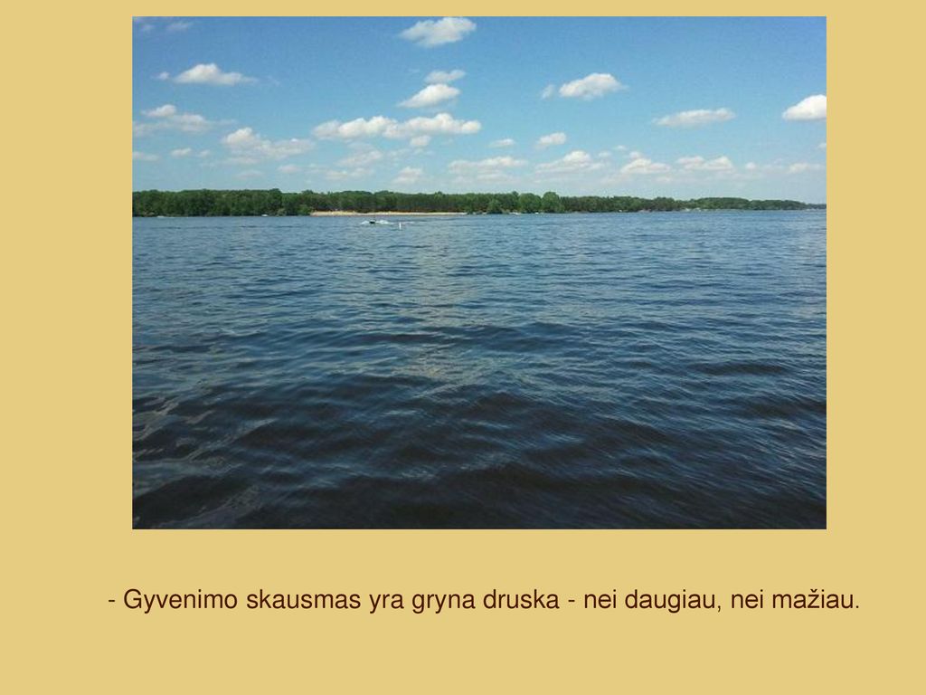 - Gyvenimo skausmas yra gryna druska - nei daugiau, nei mažiau.