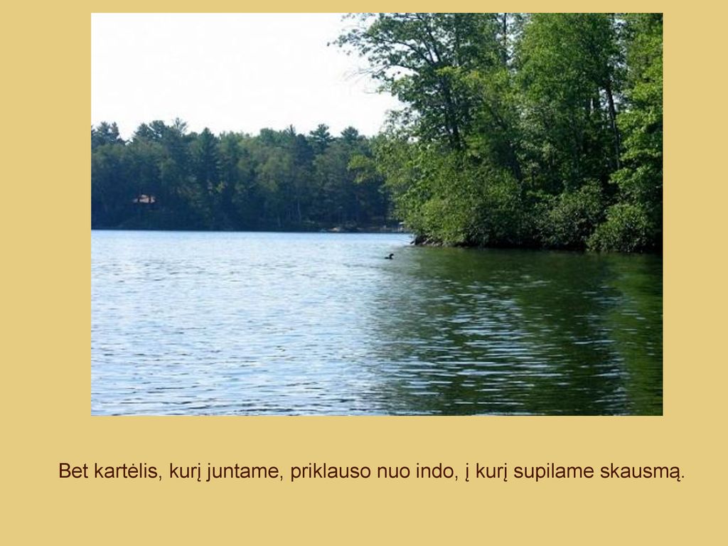 Bet kartėlis, kurį juntame, priklauso nuo indo, į kurį supilame skausmą.