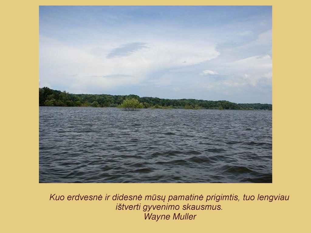 Kuo erdvesnė ir didesnė mūsų pamatinė prigimtis, tuo lengviau ištverti gyvenimo skausmus.
