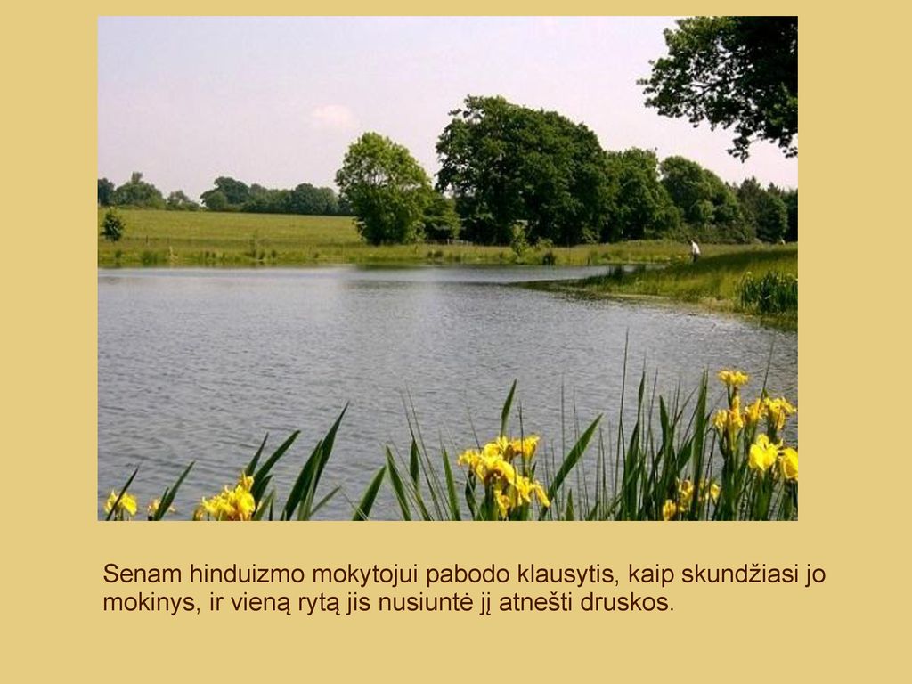 Senam hinduizmo mokytojui pabodo klausytis, kaip skundžiasi jo mokinys, ir vieną rytą jis nusiuntė jį atnešti druskos.