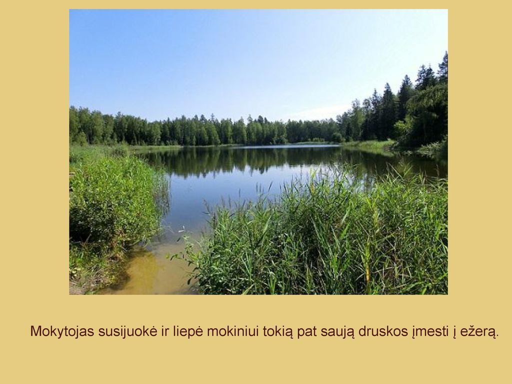 Mokytojas susijuokė ir liepė mokiniui tokią pat saują druskos įmesti į ežerą.