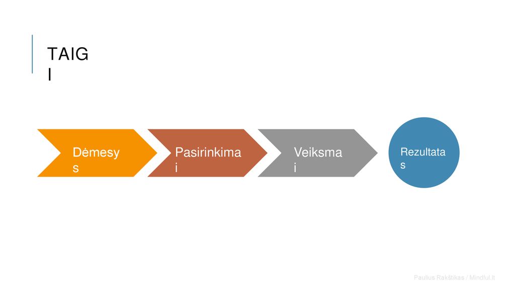 TAIG I Dėmesy s Pasirinkima i Veiksma i Rezultata s