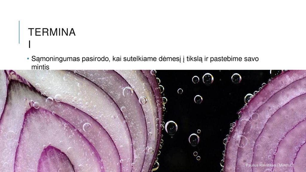 TERMINA I Sąmoningumas pasirodo, kai sutelkiame dėmesį į tikslą ir pastebime savo mintis.