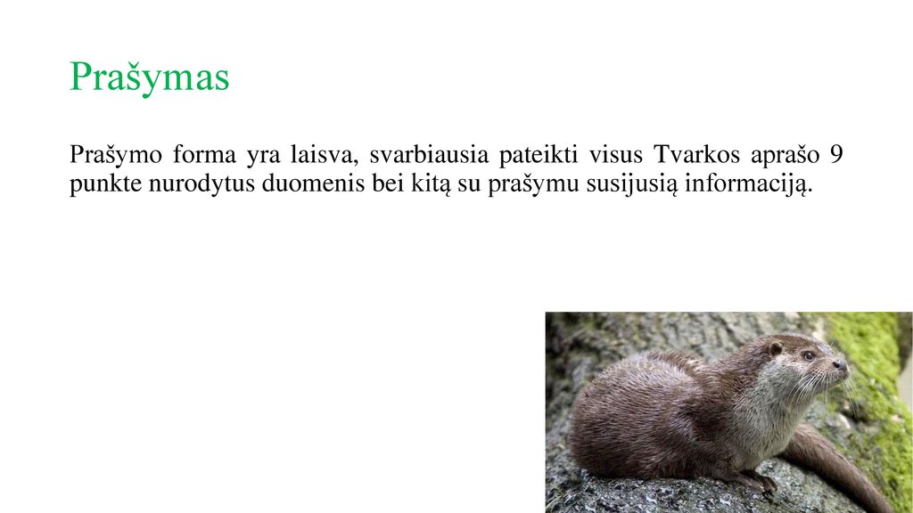 Prašymas Prašymo forma yra laisva, svarbiausia pateikti visus Tvarkos aprašo 9 punkte nurodytus duomenis bei kitą su prašymu susijusią informaciją.