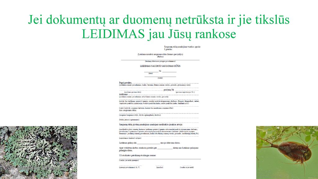 Jei dokumentų ar duomenų netrūksta ir jie tikslūs LEIDIMAS jau Jūsų rankose