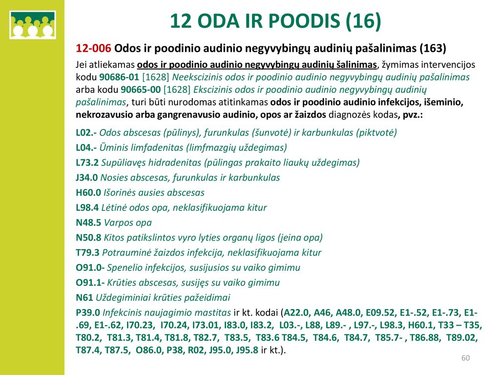 12 ODA IR POODIS (16) Odos ir poodinio audinio negyvybingų audinių pašalinimas (163)